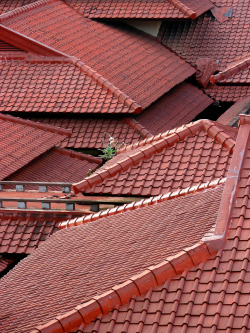 hiromitsu:  Roofscape by Horst Kiechle on Flickr. 