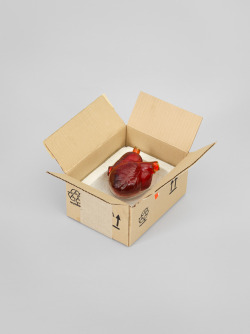 whitneymuseum:  Robert Gober (b. 1954), Heart in a Box, 2014–2015.