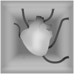 vizual-2:  Gifs HERE 