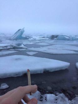 reddlr-trees:  “Wanna smoke weed and watch icebergs?”,