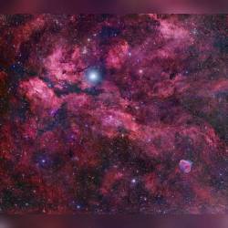 Central Cygnus Skyscape #nasa #apod #dss #byu #constellation