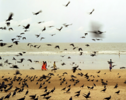 mpdrolet:  Juhu Beach, Mumbai, IndiaAmbroise Tézenas