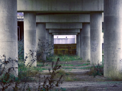 scavengedluxury:  Tram viaduct. Nottingham, January 2015. 