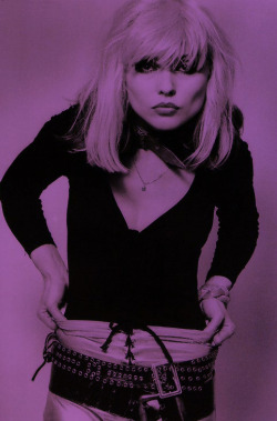 blondie-poedie:    Debbie Harry