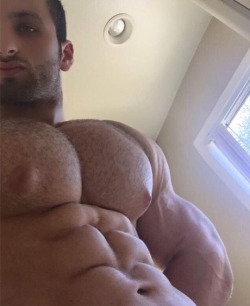 ppecs:  Dani Younan’s massive hairy pecs and nipples