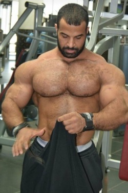 muscleryb:  Ahmed elsadany  Ahmed Elsadany