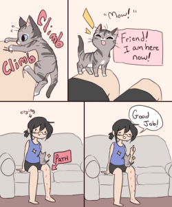 dumb-boshie-stuff:  Kittens are painful.