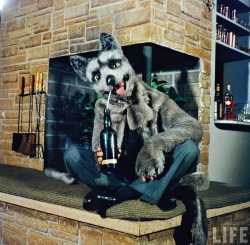 jarretedeboire:Ralph Morse - Play-Man In Dog Suit.