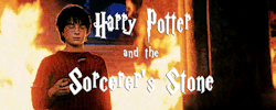 antoniosvivaldi:  Harry Potter Funny Book Titles: American version