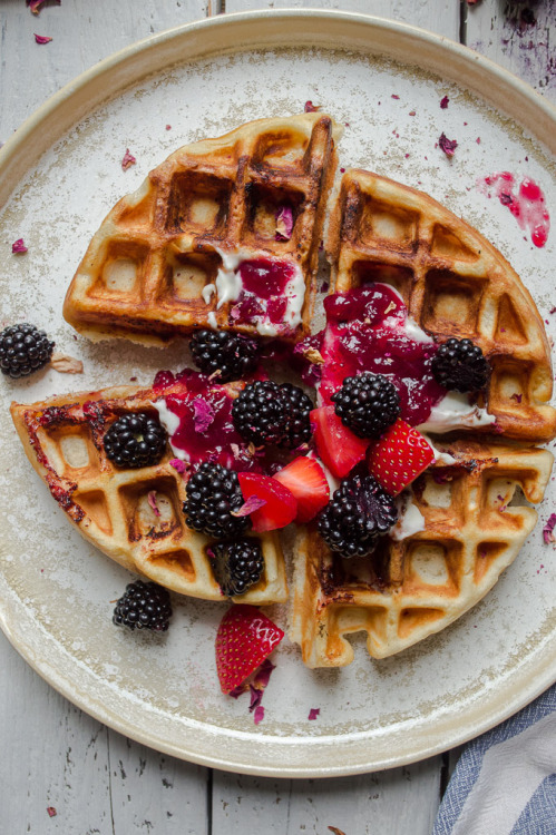 fattributes:Lingonberry Waffles