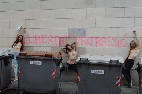 â€œA thorough understanding of pro-topless advocatesâ€™ concerns requires going beyond the issue of legal consistency. Part of what topless advocates object to in gender unequal topless laws are the implications of the underlying messages the laws could