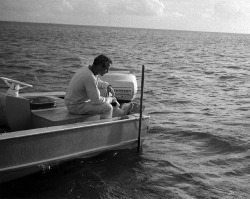voxsart:  1967.Paul Newman.