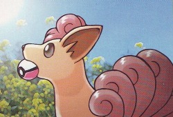 hdddsdjcksjdnkjs88888883333-dea:  Blaine's Vulpix | Ken Sugimori