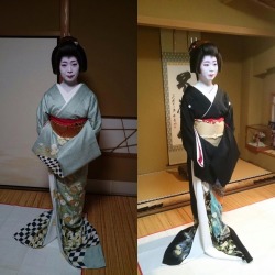 geisha-kai:  November 2016: Geiko Ichitomi of Gion Kobu - on
