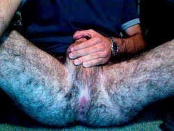 barebearx:  ~~~~PLEASE FOLLOW ME ** ~ ♂♂ OVER 26,500 FOLLOWERS~~~~~~