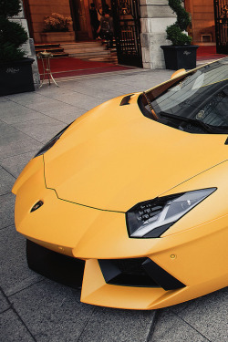 reals:  Creamy Yellow | Kevin | More   