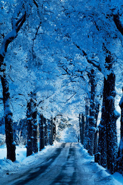 plasmatics-life:  Blue Snow Road, Stockholm, Sweden ~ By Mrswilson