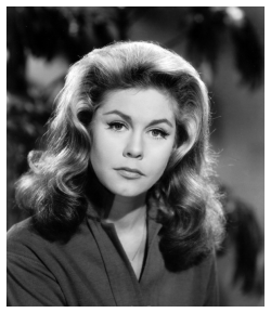 antipahtico:  Elizabeth Montgomery 