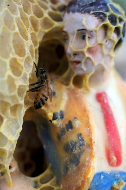 trebled-negrita-princess:  mymodernmet:  Honeybees Cover Porcelain