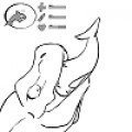 Orca goes into T-Rex (interactive animation) - by Hopfelhttp://d.facdn.net/art/hopfel/1436363663/1436363663.hopfel_orcarex.swfhttp://www.furaffinity.net/view/17046532/This