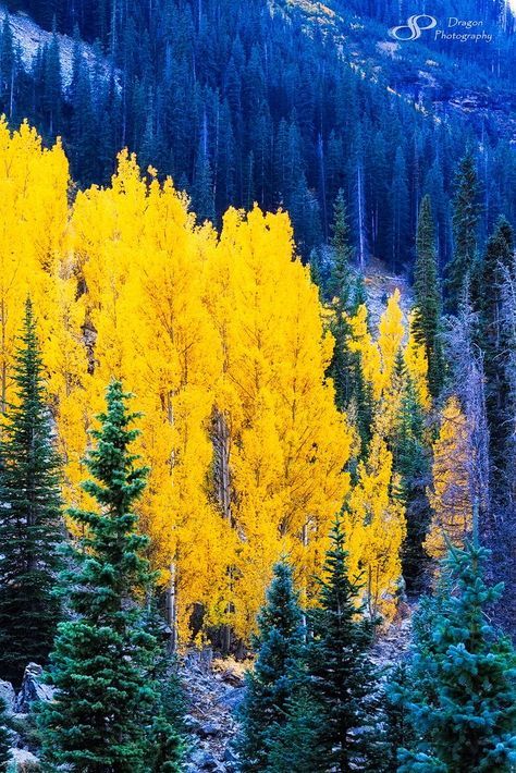 misterlemonzafterlife:  mistymorrning: www.pintrest.com   https://MisterLemonzAfterlife.tumblr.com/archive