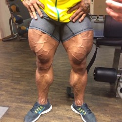 drwannabe:  Carlito  His legs are so thick that his shorts are