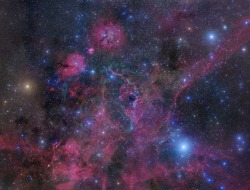 tessladapanda:  Vela Supernova Remnant 