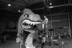 usnatarchives:  This shark gets a beauty treatment on its teeth!