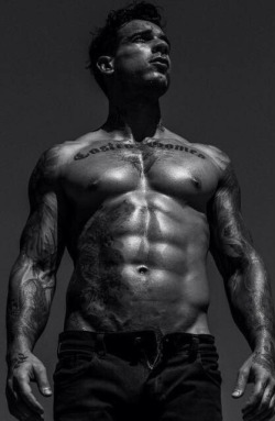 Adonis Files