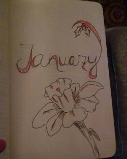 I started a bullet journal and I’m beyond excited.