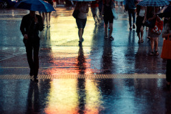 ourbedtimedreams:  Evening Rain by Jon Siegel on Flickr.
