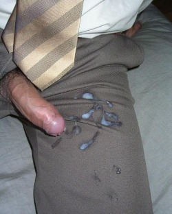 bear-tum:1058