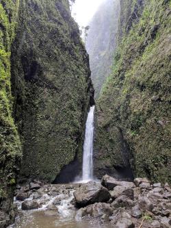 thebeautifuloutdoors:  Sacred Falls, Oahu Hawaii [3024 x 4032]