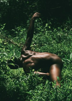 votre-peine:  ignorethewhites:  roseography:  Carbon dated melanin