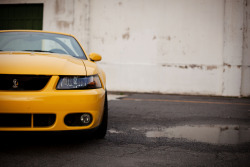 automotivated:  Terminator (by Jennifer Franke Photography)