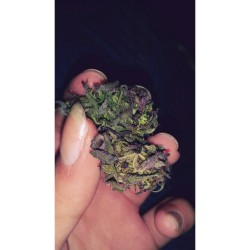 weedporndaily:  cortatu-notu-yapoctmquierodormir:💪