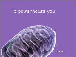 whatthehufflepuff:mitochondria are the powerhouse of the cell