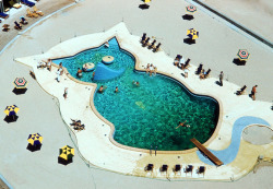  A swimming pool in the shape of a cat at the Fontainebleau Hotel,