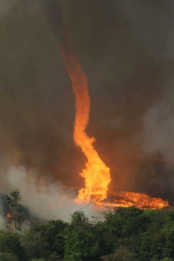 outdoors-photography:Firenado - Fire Tornado