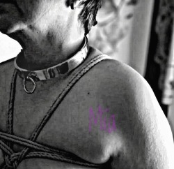 SHIBARI
