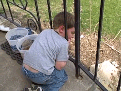 sizvideos:  Little kid got his head stuck (video)