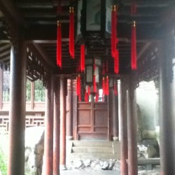 Yayuan garden #tea #garden #yayuan #shanghai #sgg #explorethecity