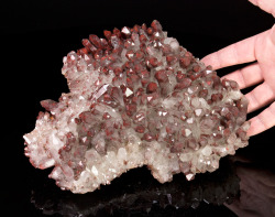 mineralists:  Large plate of gemmy Quartz crystals with beautiful