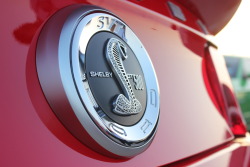 ackhmed:  2012 Ford Mustang Shelby GT500 at Cars and Coffee.