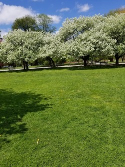 Beautiful day in the park with my love, @celticknot65 tip-toeing