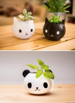 sosuperawesome:  3D Printed Planters, Decor and Tape Dispenser