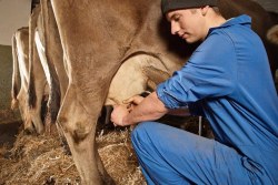 Farmers and their life in the country