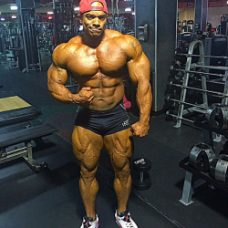 nicemusclemen:  Sergio Oliva Jr 