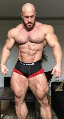 musclebull23: 