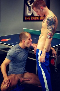 jaygordon1981:  Tatted frat ginger getting a blow job from his